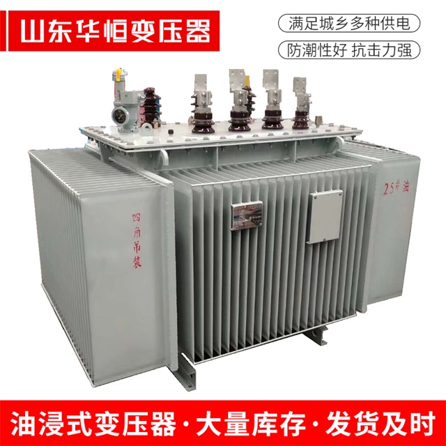 S13-10000/35永新永新永新电力变压器厂家