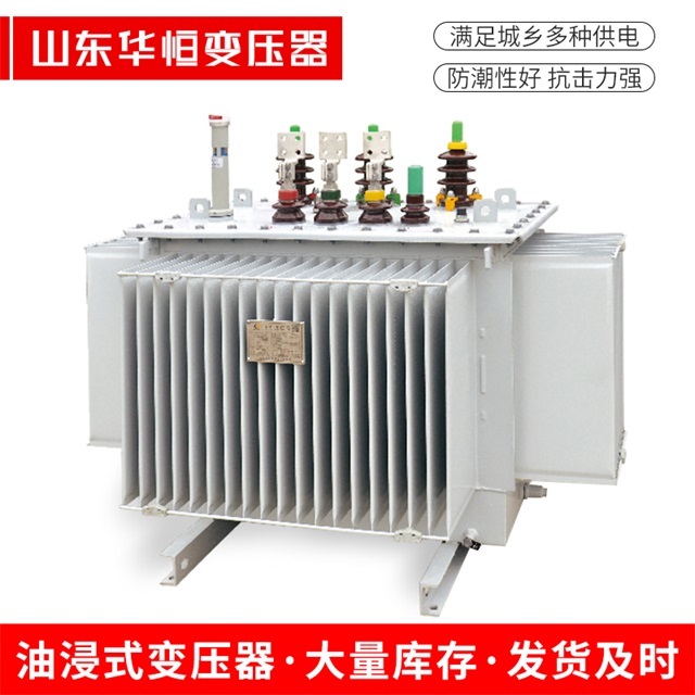 S13-10000/35永新永新永新电力变压器