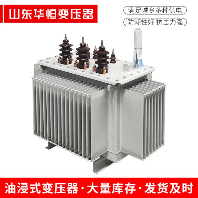 S11-10000/35永新永新永新电力变压器价格